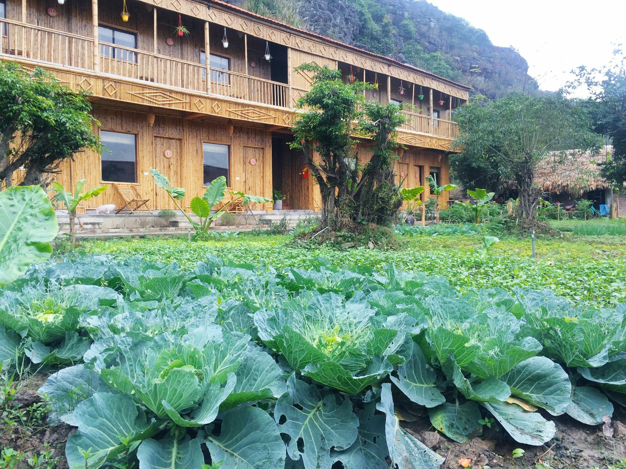 Ham Rong Homestay Нин Бин Екстериор снимка